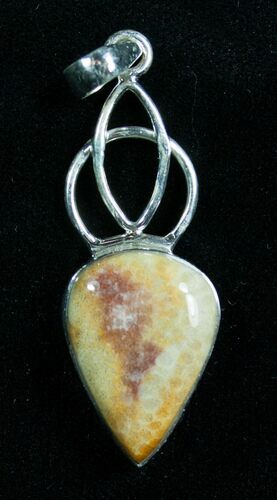 Beautiful Fossil Coral Pendant #7708